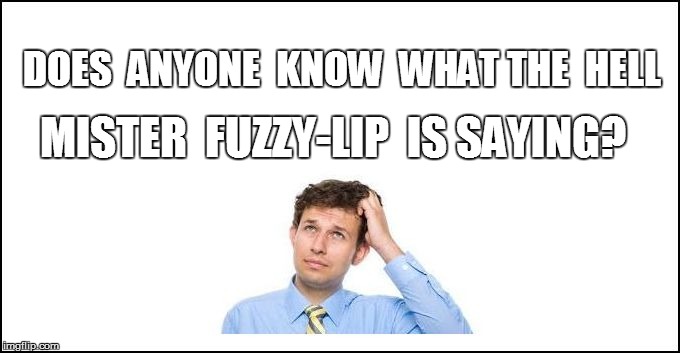 DOES  ANYONE  KNOW  WHAT THE  HELL MISTER  FUZZY-LIP  IS SAYING? | made w/ Imgflip meme maker