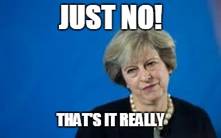 Theresa May  | JUST NO! THAT'S IT REALLY | image tagged in theresa may | made w/ Imgflip meme maker
