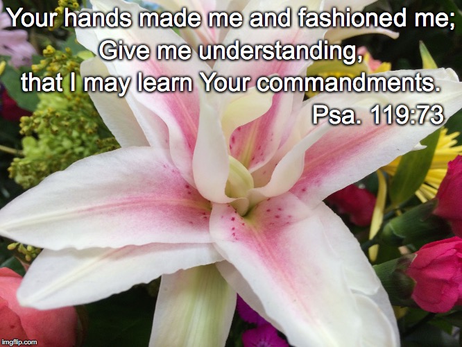 Your hands made me and fashioned me;; Give me understanding, that I may learn Your commandments. Psa. 119:73 | image tagged in fashioned | made w/ Imgflip meme maker