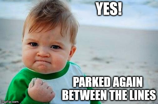 Victory Baby | YES! PARKED AGAIN BETWEEN THE LINES | image tagged in victory baby | made w/ Imgflip meme maker