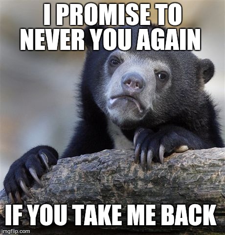 Confession Bear | I PROMISE TO NEVER YOU AGAIN; IF YOU TAKE ME BACK | image tagged in memes,confession bear | made w/ Imgflip meme maker