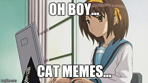 Haruhi Annoyed | OH BOY... CAT MEMES... | image tagged in haruhi annoyed | made w/ Imgflip meme maker