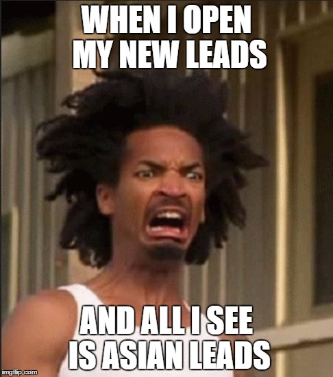 Disgusting | WHEN I OPEN MY NEW LEADS; AND ALL I SEE IS ASIAN LEADS | image tagged in disgusting | made w/ Imgflip meme maker