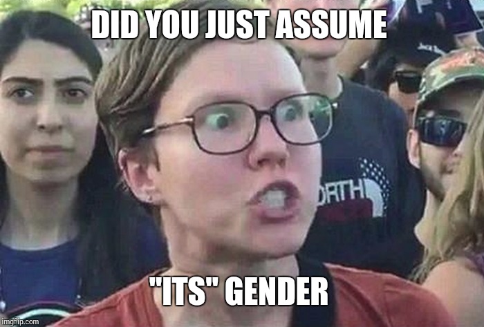 DID YOU JUST ASSUME "ITS" GENDER | made w/ Imgflip meme maker