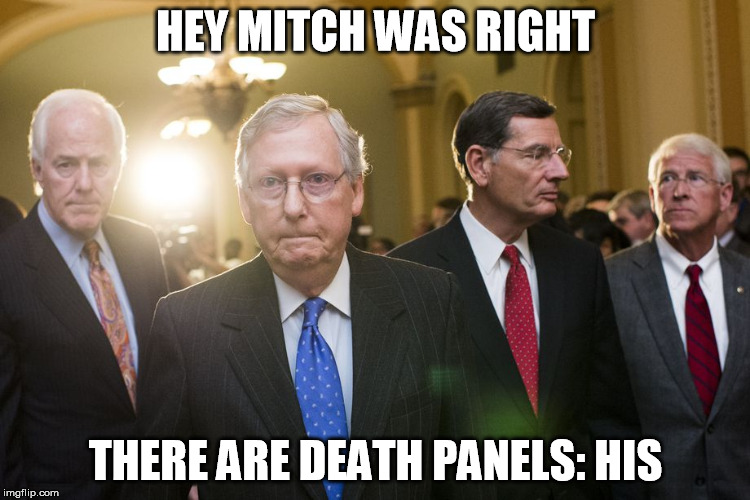 HEY MITCH WAS RIGHT; THERE ARE DEATH PANELS: HIS | image tagged in death panel | made w/ Imgflip meme maker