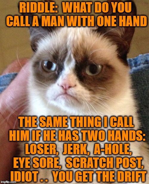 Grumpy Cat Meme | RIDDLE:  WHAT DO YOU CALL A MAN WITH ONE HAND; THE SAME THING I CALL HIM IF HE HAS TWO HANDS:  LOSER,  JERK,  A-HOLE,  EYE SORE,  SCRATCH POST,  IDIOT . .  YOU GET THE DRIFT | image tagged in memes,grumpy cat | made w/ Imgflip meme maker