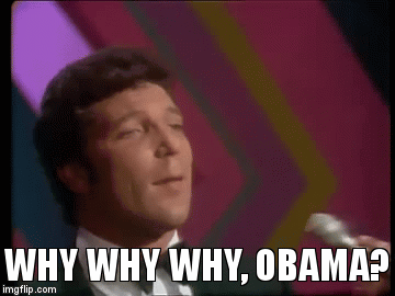 WHY WHY WHY, OBAMA? | image tagged in gifs | made w/ Imgflip video-to-gif maker