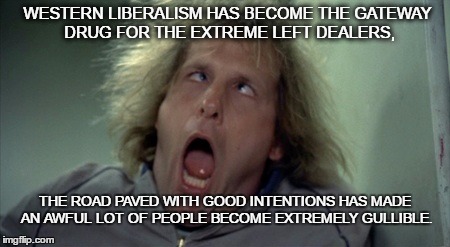 Scary Harry | WESTERN LIBERALISM HAS BECOME THE GATEWAY DRUG FOR THE EXTREME LEFT DEALERS, THE ROAD PAVED WITH GOOD INTENTIONS HAS MADE AN AWFUL LOT OF PEOPLE BECOME EXTREMELY GULLIBLE. | image tagged in memes,scary harry | made w/ Imgflip meme maker