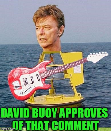 DAVID BUOY APPROVES OF THAT COMMENT | made w/ Imgflip meme maker