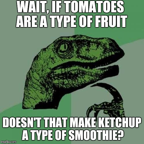 Ketchups | WAIT, IF TOMATOES ARE A TYPE OF FRUIT; DOESN'T THAT MAKE KETCHUP A TYPE OF SMOOTHIE? | image tagged in memes,philosoraptor | made w/ Imgflip meme maker