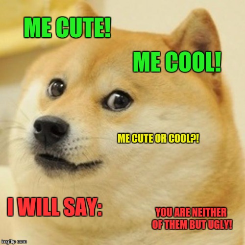 Doge Meme | ME CUTE! ME COOL! ME CUTE OR COOL?! I WILL SAY:; YOU ARE NEITHER OF THEM BUT UGLY! | image tagged in memes,doge | made w/ Imgflip meme maker