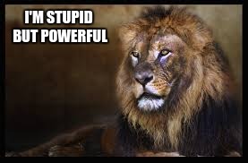 lion king | I'M STUPID BUT POWERFUL | image tagged in power,lion | made w/ Imgflip meme maker