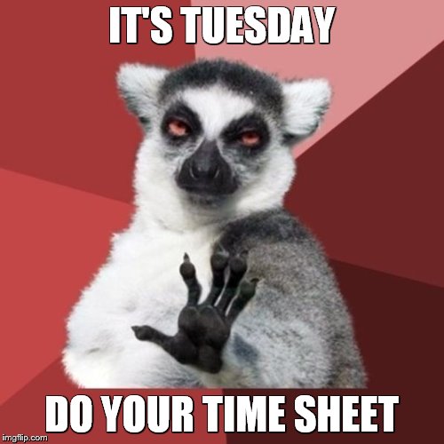 Chill Out Lemur | IT'S TUESDAY; DO YOUR TIME SHEET | image tagged in memes,chill out lemur | made w/ Imgflip meme maker
