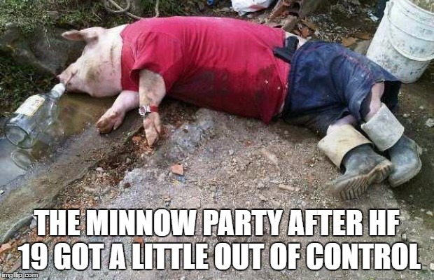 THE MINNOW PARTY AFTER HF 19 GOT A LITTLE OUT OF CONTROL | made w/ Imgflip meme maker