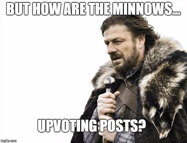 Brace Yourselves X is Coming Meme | BUT HOW ARE THE MINNOWS... UPVOTING POSTS? | image tagged in memes,brace yourselves x is coming | made w/ Imgflip meme maker