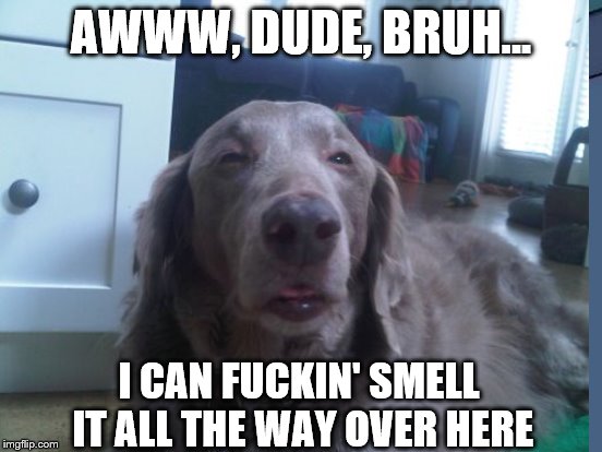 AWWW, DUDE, BRUH... I CAN F**KIN' SMELL IT ALL THE WAY OVER HERE | made w/ Imgflip meme maker