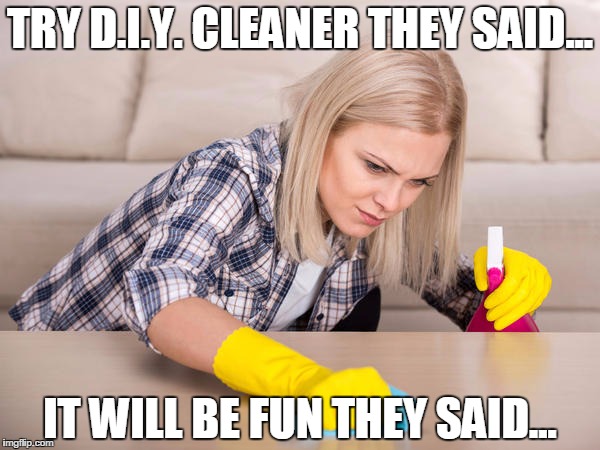 TRY D.I.Y. CLEANER THEY SAID... IT WILL BE FUN THEY SAID... | made w/ Imgflip meme maker
