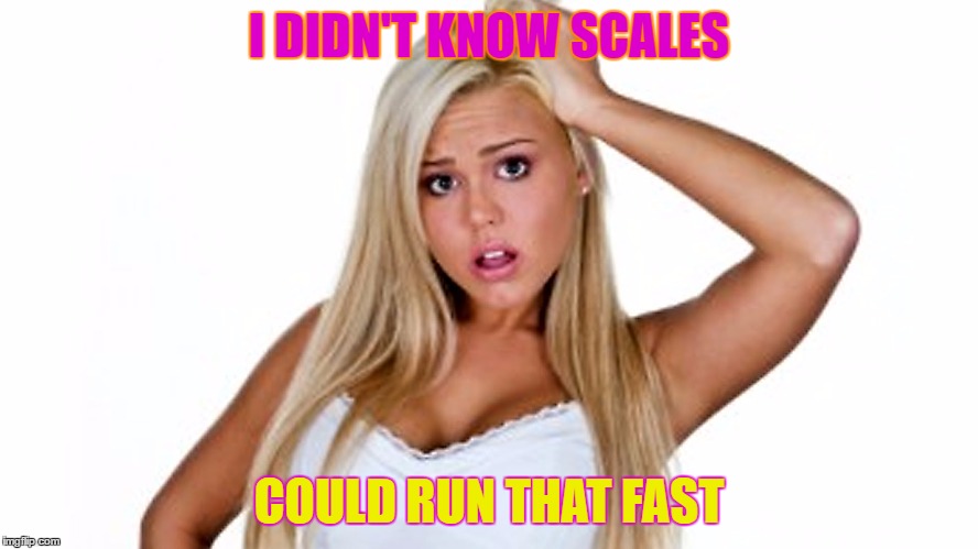 I DIDN'T KNOW SCALES COULD RUN THAT FAST | made w/ Imgflip meme maker