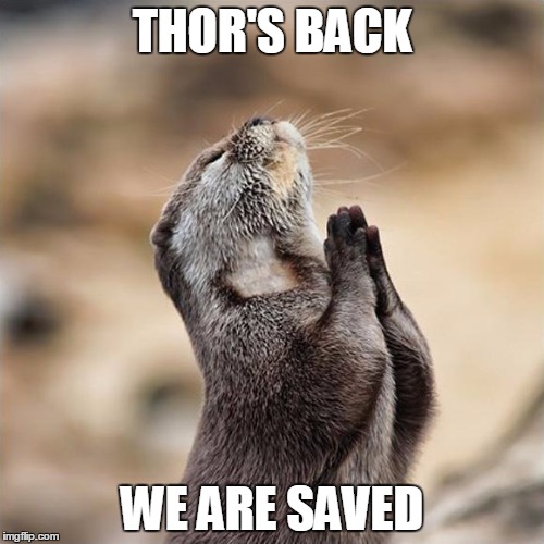 Praying Otter | THOR'S BACK; WE ARE SAVED | image tagged in praying otter | made w/ Imgflip meme maker