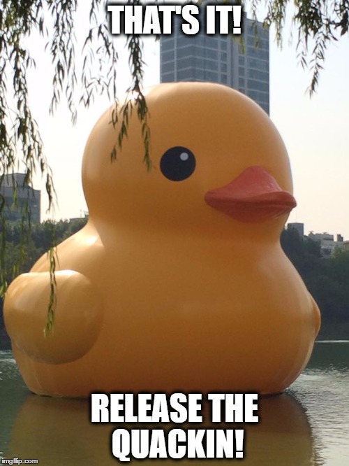 THAT'S IT! RELEASE THE QUACKIN! | image tagged in release the quackin | made w/ Imgflip meme maker