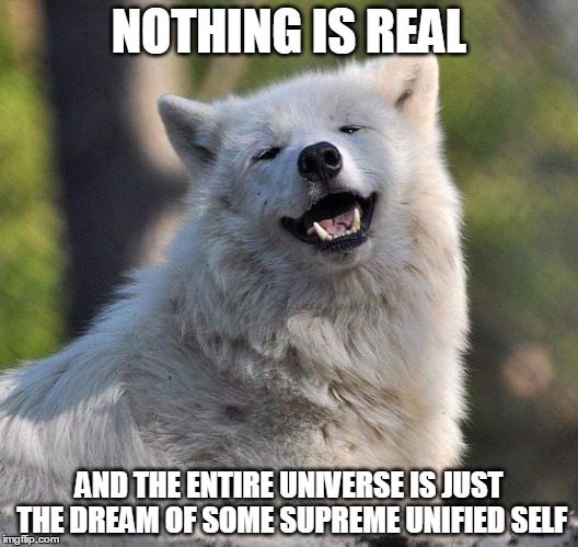 supersecretwolf | NOTHING IS REAL; AND THE ENTIRE UNIVERSE IS JUST THE DREAM OF SOME SUPREME UNIFIED SELF | image tagged in supersecretwolf | made w/ Imgflip meme maker