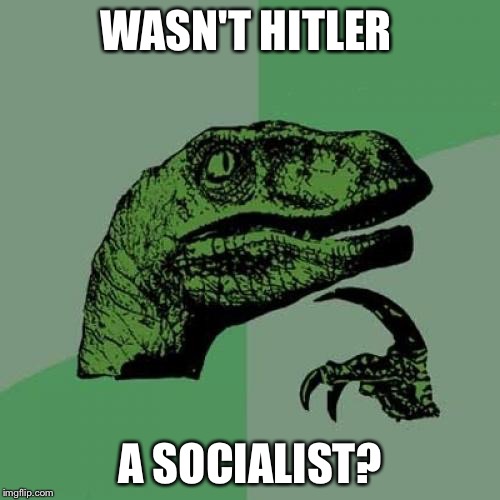 Philosoraptor Meme | WASN'T HITLER A SOCIALIST? | image tagged in memes,philosoraptor | made w/ Imgflip meme maker