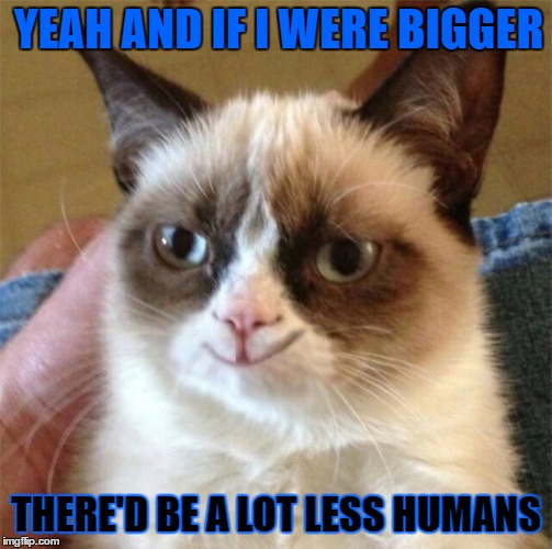 YEAH AND IF I WERE BIGGER THERE'D BE A LOT LESS HUMANS | made w/ Imgflip meme maker
