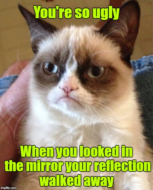 ɢʀᴜᴍᴘʏ ᴄᴀᴛ | You're so ugly; When you looked in the mirror your reflection walked away | image tagged in memes,grumpy cat,grumpy cat insults,google images,craziness_all_the_way,grumpy is so disrespectful | made w/ Imgflip meme maker