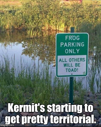 We don't want you or kind around here.  | Kermit's starting to get pretty territorial. | image tagged in funny sign,no parking,kermit the frog,frog pond | made w/ Imgflip meme maker