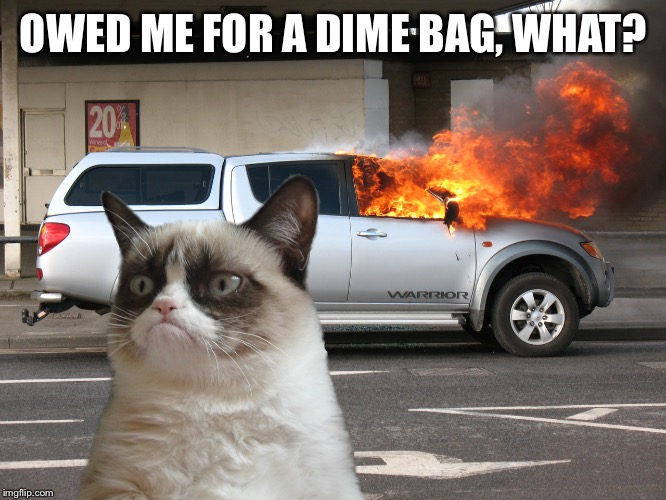 Grumpy Cat Fire Car | OWED ME FOR A DIME BAG, WHAT? | image tagged in grumpy cat fire car | made w/ Imgflip meme maker