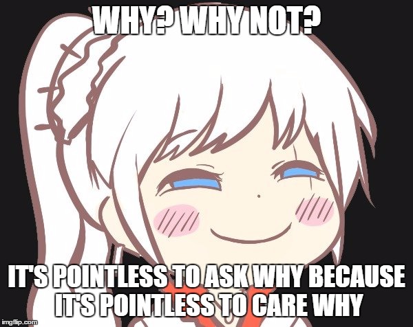 WHY? WHY NOT? IT'S POINTLESS TO ASK WHY BECAUSE IT'S POINTLESS TO CARE WHY | image tagged in smug | made w/ Imgflip meme maker