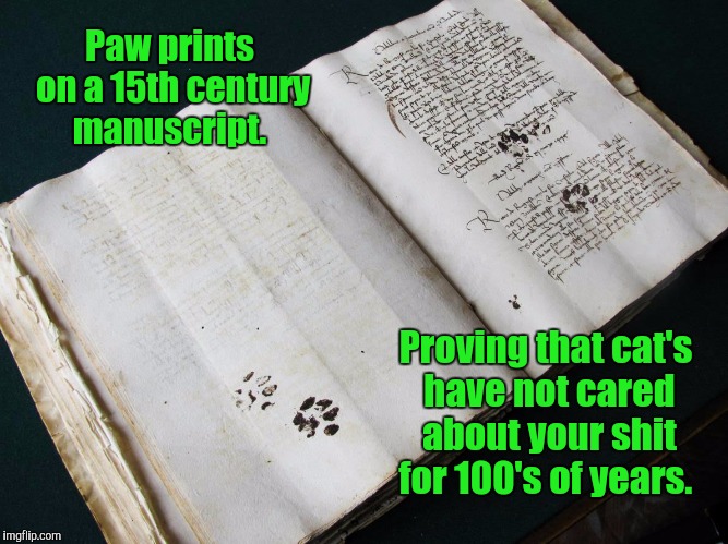 They still don't care.  | Paw prints on a 15th century manuscript. Proving that cat's have not cared about your shit for 100's of years. | image tagged in funny,cats,attitude | made w/ Imgflip meme maker