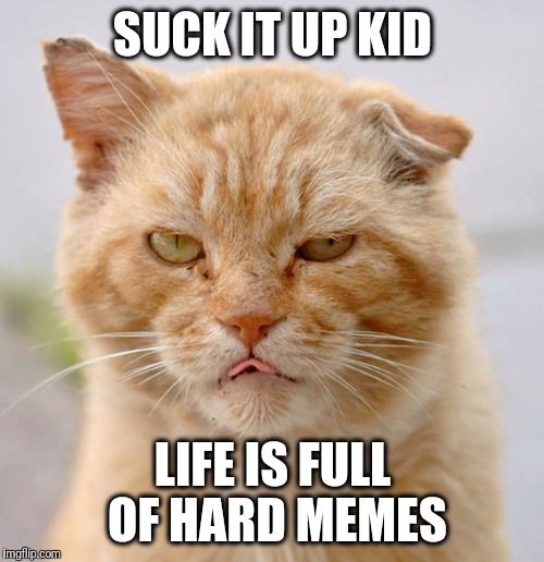 SUCK IT UP KID LIFE IS FULL OF HARD MEMES | made w/ Imgflip meme maker