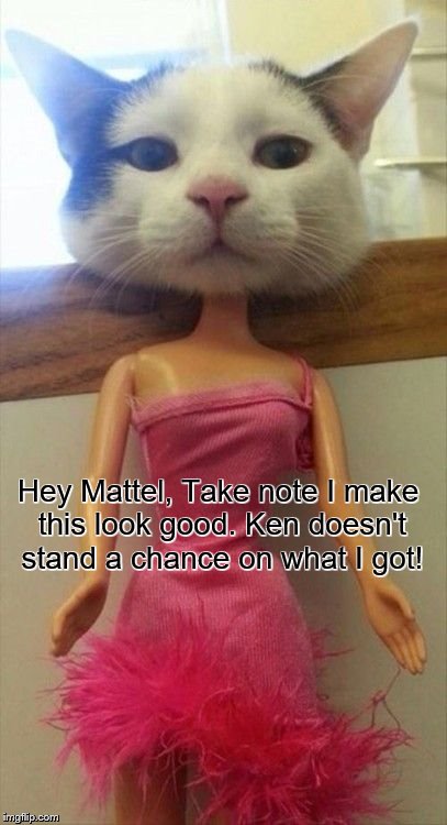  Hey Mattel | Hey Mattel, Take note I make this look good. Ken doesn't stand a chance on what I got! | image tagged in i make this look good,ken can't pull this off | made w/ Imgflip meme maker