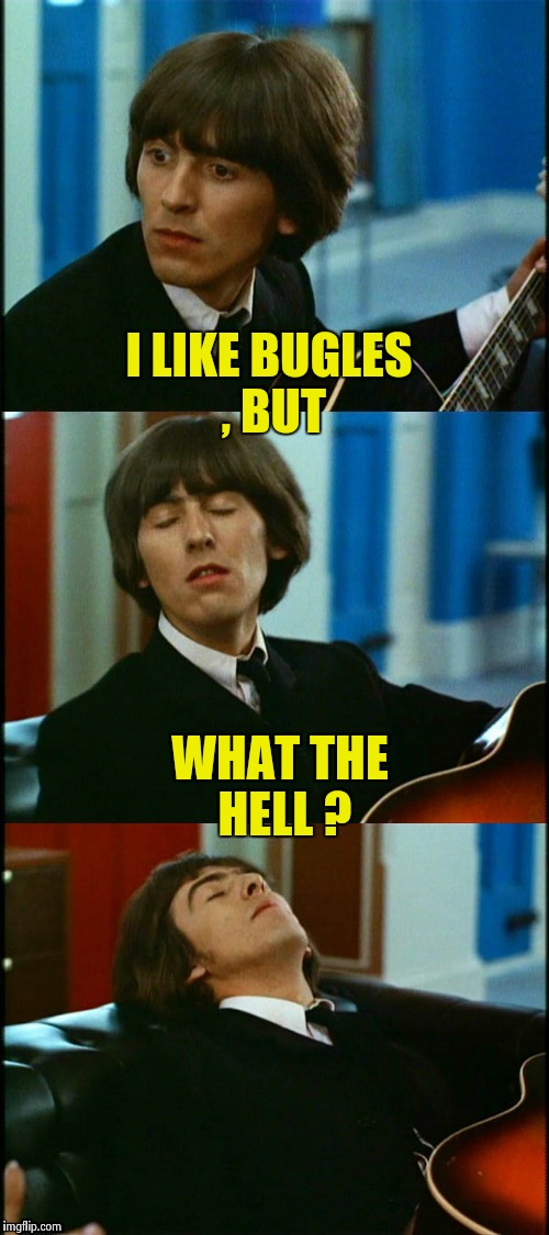 George faints | I LIKE BUGLES , BUT WHAT THE HELL ? | image tagged in george faints | made w/ Imgflip meme maker
