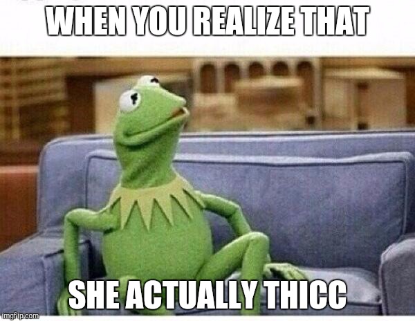 KERMIT | WHEN YOU REALIZE THAT; SHE ACTUALLY THICC | image tagged in kermit | made w/ Imgflip meme maker