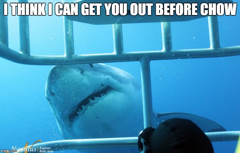 I THINK I CAN GET YOU OUT BEFORE CHOW | image tagged in gina judd | made w/ Imgflip meme maker