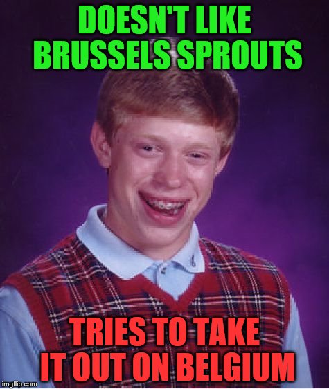 Bad Luck Brian Meme | DOESN'T LIKE BRUSSELS SPROUTS; TRIES TO TAKE IT OUT ON BELGIUM | image tagged in memes,bad luck brian | made w/ Imgflip meme maker