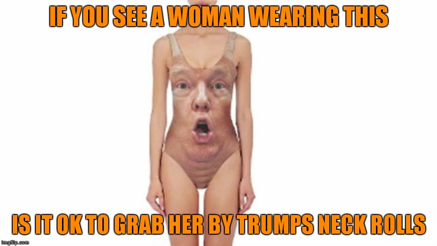 Just wondering how far her support goes is all... | IF YOU SEE A WOMAN WEARING THIS; IS IT OK TO GRAB HER BY TRUMPS NECK ROLLS | image tagged in donald trump,bathing suit,wtf,grab them by the pussy | made w/ Imgflip meme maker