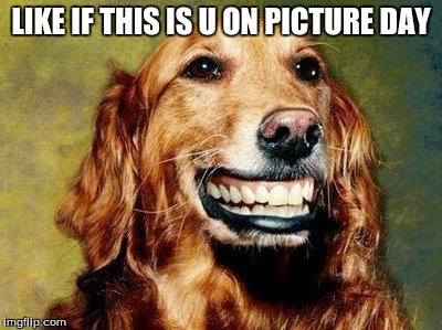Image tagged in happy dog mf meme - Imgflip
