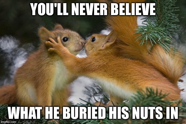 Squirrel Secrets - A Squirrel & Filth Week Combo | YOU'LL NEVER BELIEVE; WHAT HE BURIED HIS NUTS IN | image tagged in squirrel secrets,memes,funny,squirrel week,nsfw filth week | made w/ Imgflip meme maker