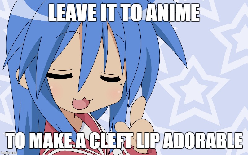 How Did I Not Notice This | LEAVE IT TO ANIME; TO MAKE A CLEFT LIP ADORABLE | image tagged in cleft,anime,realization,cat mouth | made w/ Imgflip meme maker
