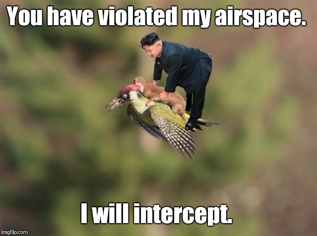 1810in.jpg | You have violated my airspace. I will intercept. | image tagged in 1810injpg | made w/ Imgflip meme maker