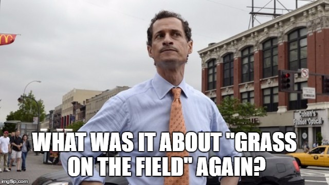 Anthony Wiener is confused again. | WHAT WAS IT ABOUT "GRASS ON THE FIELD" AGAIN? | image tagged in wiener,anthony weiner,political meme | made w/ Imgflip meme maker