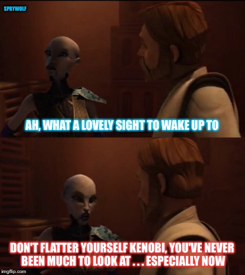 Looks Aren't Everything  | SPRYWOLF; AH, WHAT A LOVELY SIGHT TO WAKE UP TO; DON'T FLATTER YOURSELF KENOBI, YOU'VE NEVER BEEN MUCH TO LOOK AT . . . ESPECIALLY NOW | image tagged in star wars,clone wars,asajj ventress,obi wan kenobi,obi wan sarcasm,star wars memes | made w/ Imgflip meme maker