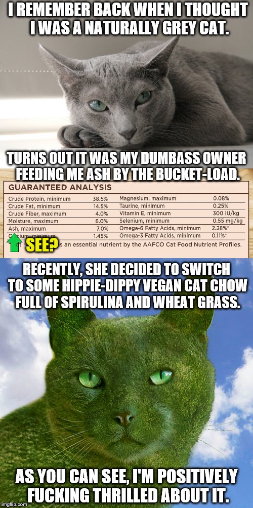 You are what you eat. | I REMEMBER BACK WHEN I THOUGHT I WAS A NATURALLY GREY CAT. TURNS OUT IT WAS MY DUMBASS OWNER FEEDING ME ASH BY THE BUCKET-LOAD. SEE? RECENTLY, SHE DECIDED TO SWITCH TO SOME HIPPIE-DIPPY VEGAN CAT CHOW FULL OF SPIRULINA AND WHEAT GRASS. AS YOU CAN SEE, I'M POSITIVELY FUCKING THRILLED ABOUT IT. | image tagged in cats,cat food,vegan,hippie,phunny,college liberal | made w/ Imgflip meme maker