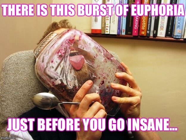 Just Before... | THERE IS THIS BURST OF EUPHORIA; JUST BEFORE YOU GO INSANE... | image tagged in insane,euphoria,burst,before | made w/ Imgflip meme maker