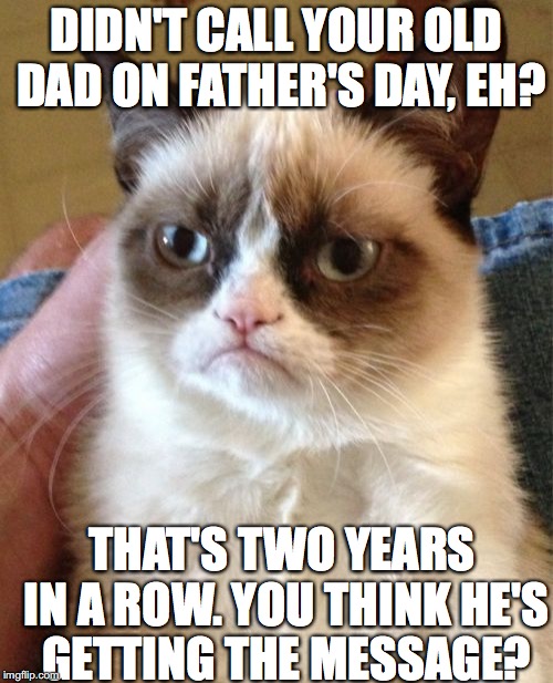 Grumpy Cat Meme | DIDN'T CALL YOUR OLD DAD ON FATHER'S DAY, EH? THAT'S TWO YEARS IN A ROW. YOU THINK HE'S GETTING THE MESSAGE? | image tagged in memes,grumpy cat | made w/ Imgflip meme maker