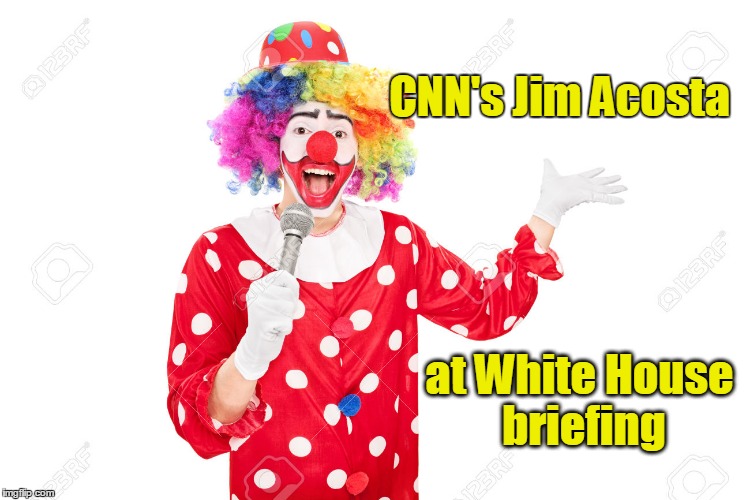 Image result for jim acosta cartoons