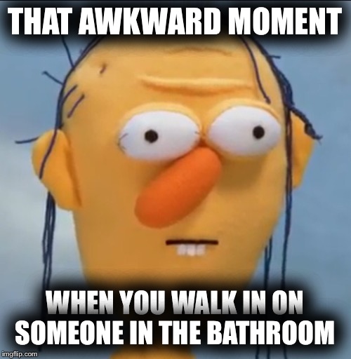Awkward-moment Larry | THAT AWKWARD MOMENT; WHEN YOU WALK IN ON SOMEONE IN THE BATHROOM | image tagged in awkward moment sealion | made w/ Imgflip meme maker